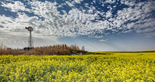 North Dakota